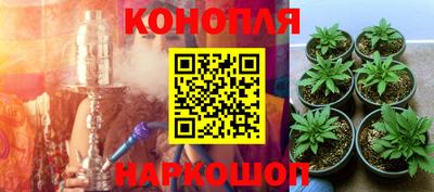 мяу мяу мука Донской